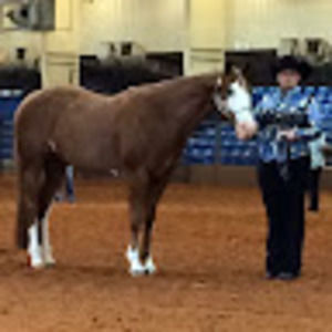 Meet your Posher, Kristi